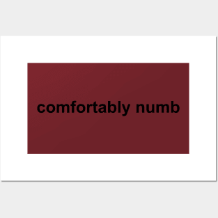 Pink Floyd - Comfortably Numb - dark text Posters and Art